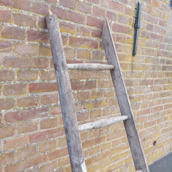 Houten ladder, fruitplukladder, decoratie